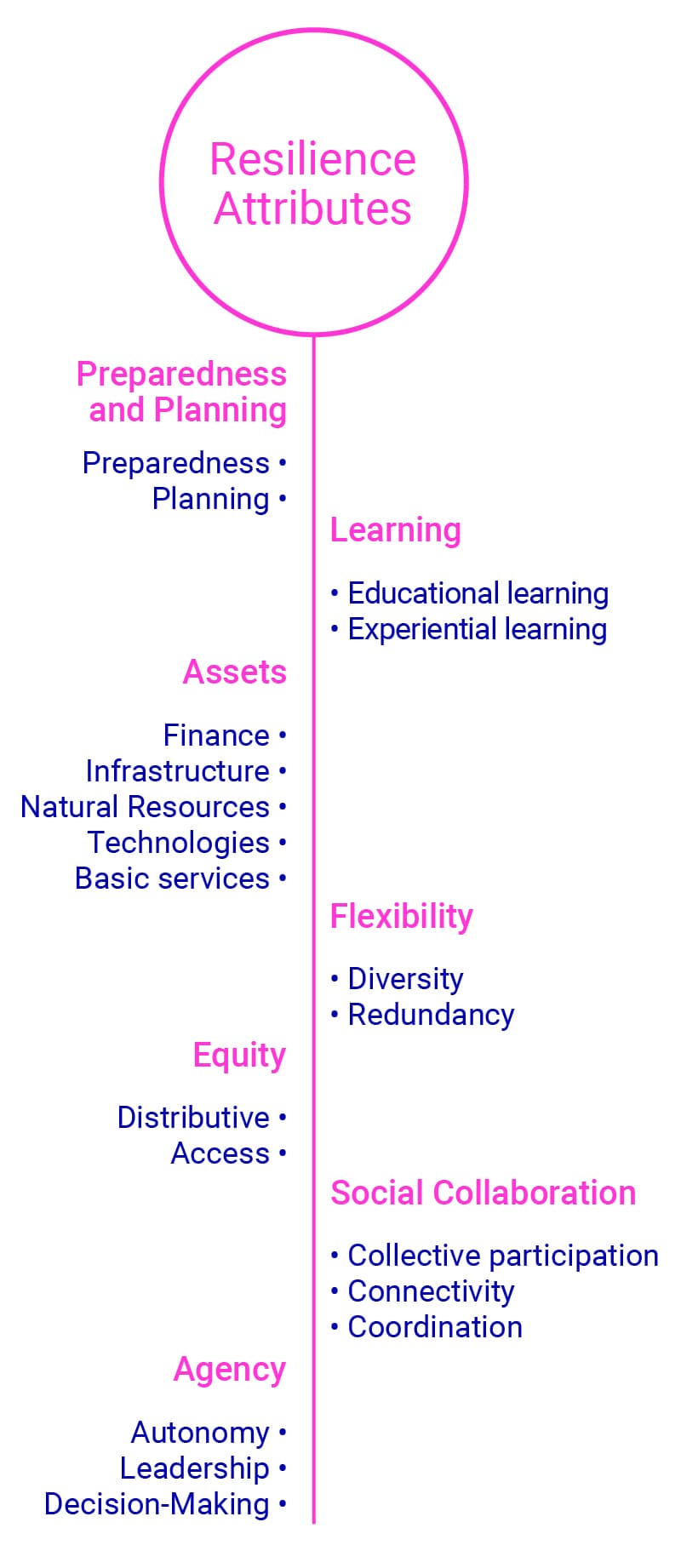 Resilience Attributes