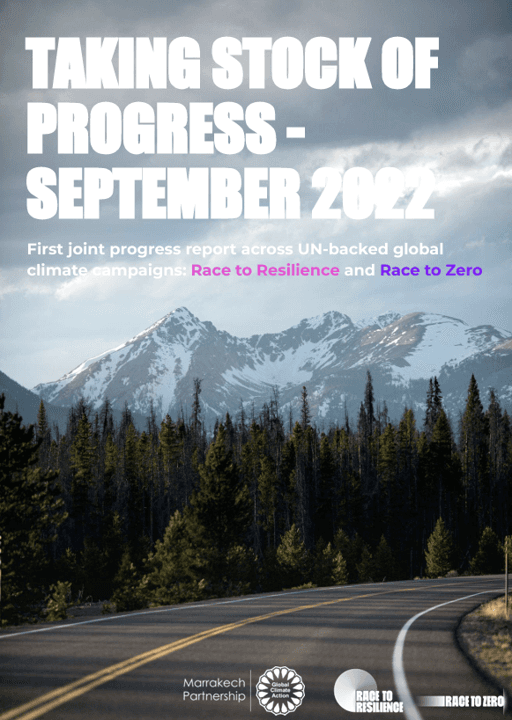 RTR Progress Reports